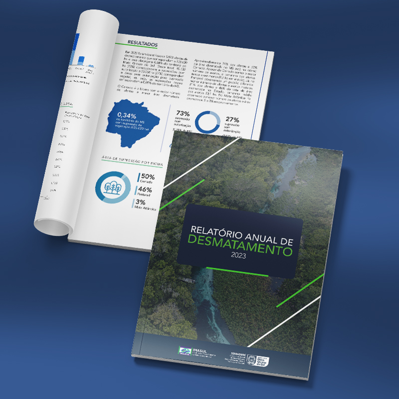 Annual Deforestation Report with a green and blue cover, showcasing a forested landscape. The report is partially open to a page displaying statistical results, along with charts and data related to deforestation.